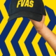 Fvascap1